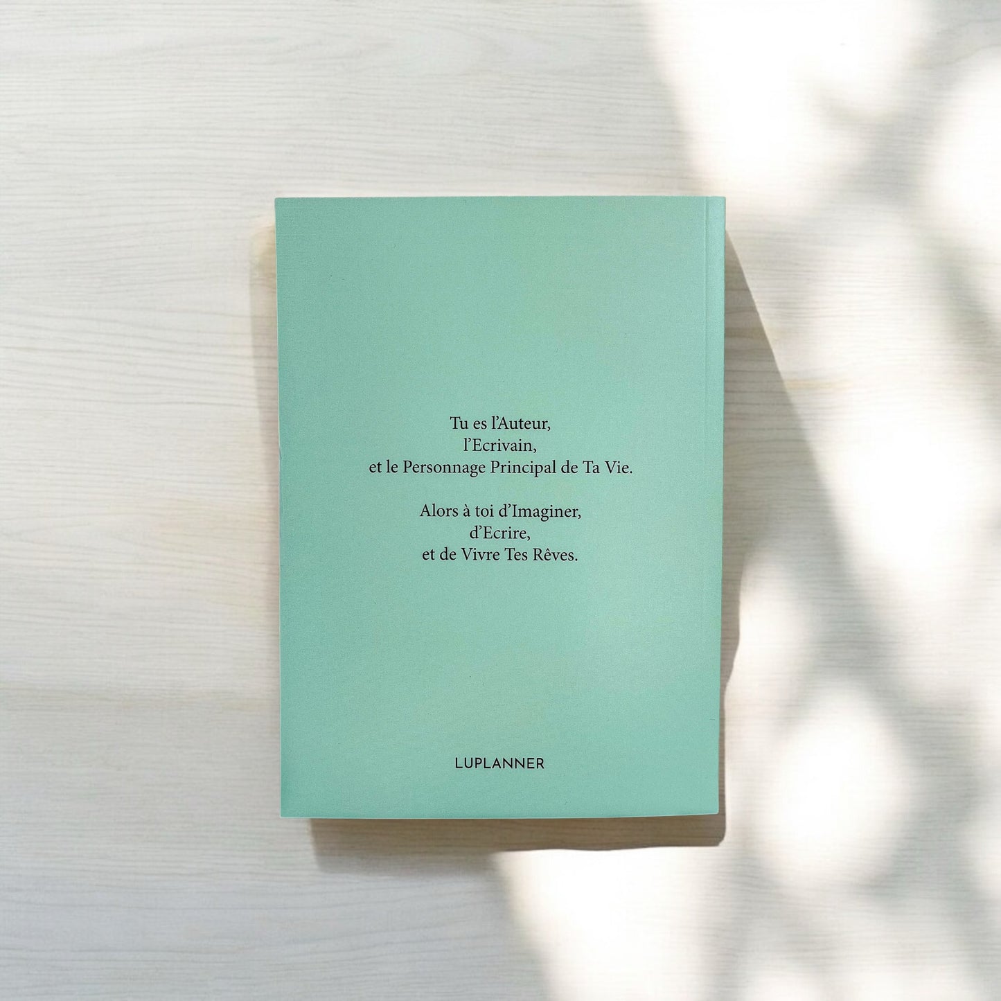 Ma safe place édition spring 🌼